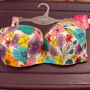 Cacique Plunge bra
